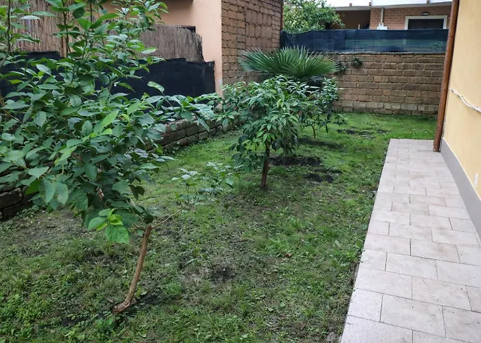Golden - Golden With Private Kitchen And Garden - Close To Metro C Guest house