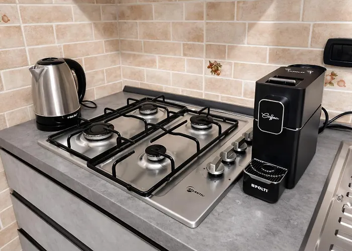 Pensión Golden - Golden With Private Kitchen And Garden - Close To Metro C Roma